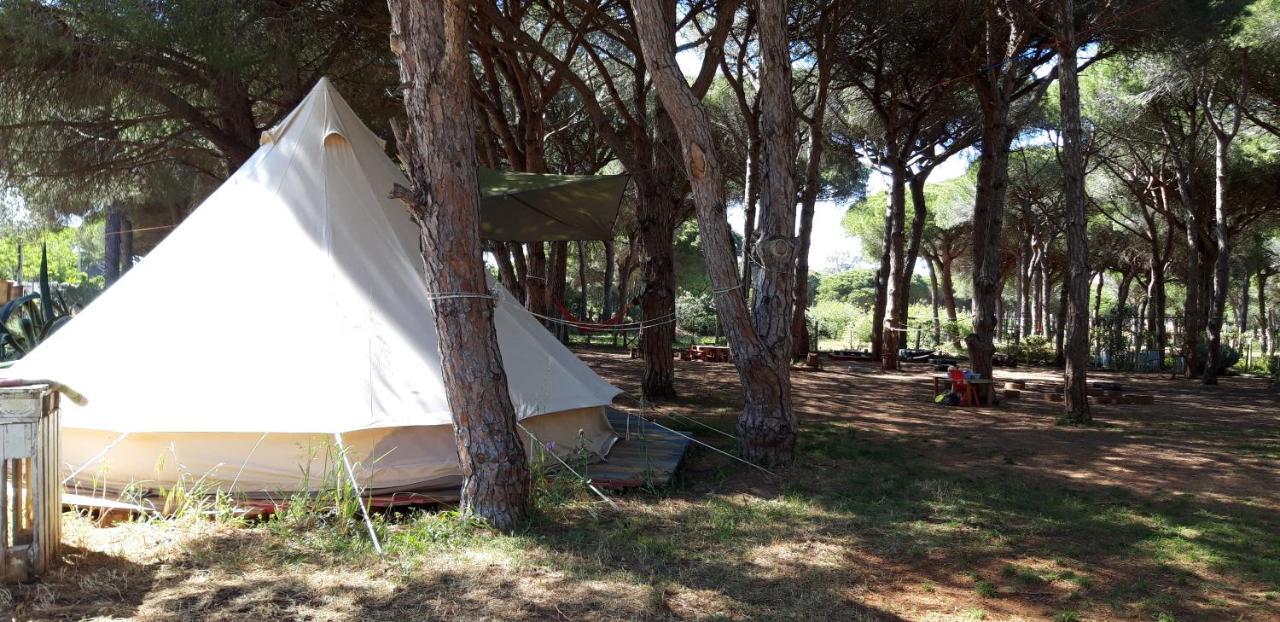 The Pineforest Cabin Chiclana de la Frontera Dış mekan fotoğraf
