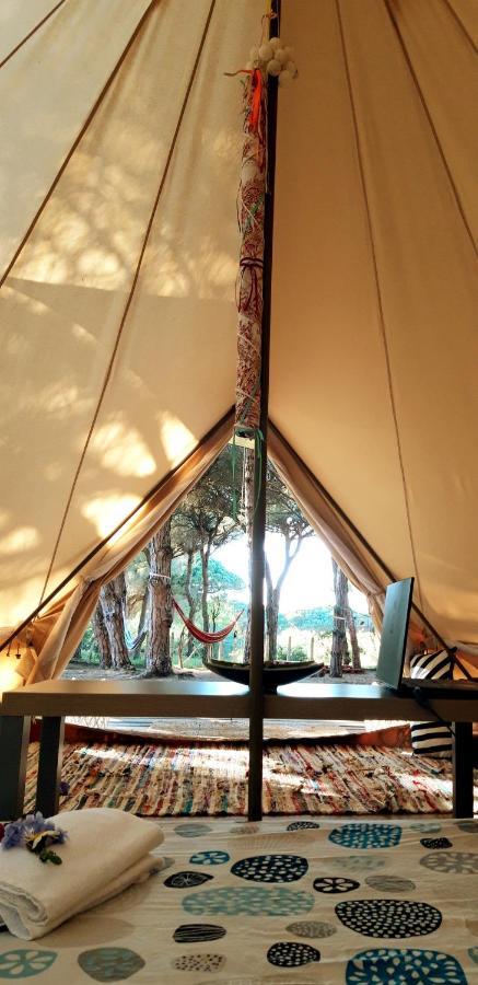 The Pineforest Cabin Chiclana de la Frontera Dış mekan fotoğraf