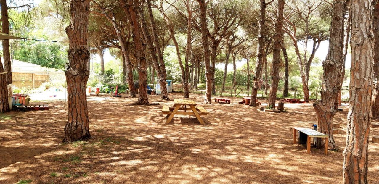 The Pineforest Cabin Chiclana de la Frontera Dış mekan fotoğraf