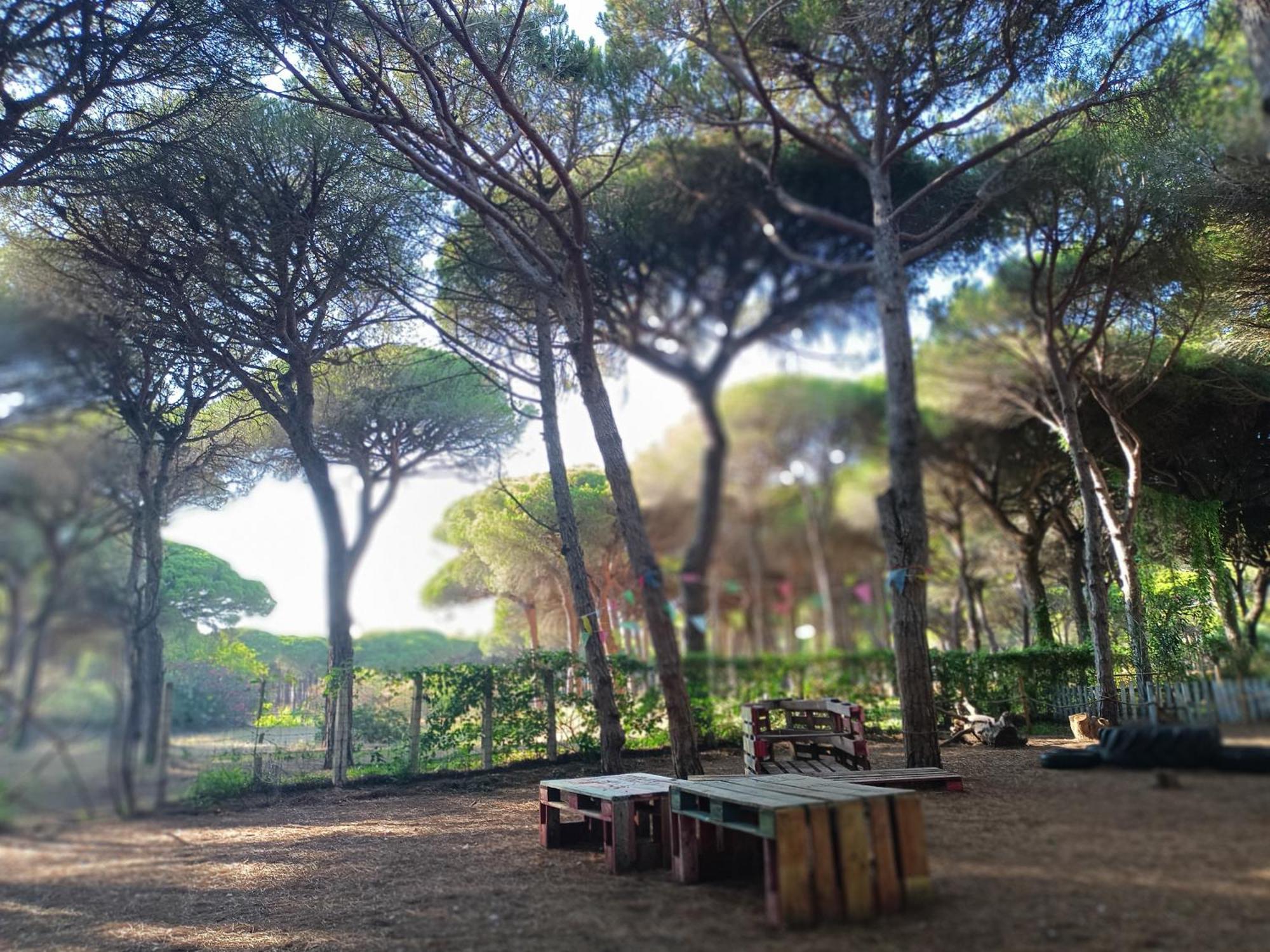 The Pineforest Cabin Chiclana de la Frontera Dış mekan fotoğraf