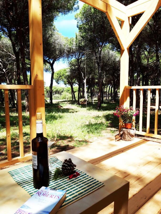 The Pineforest Cabin Chiclana de la Frontera Dış mekan fotoğraf